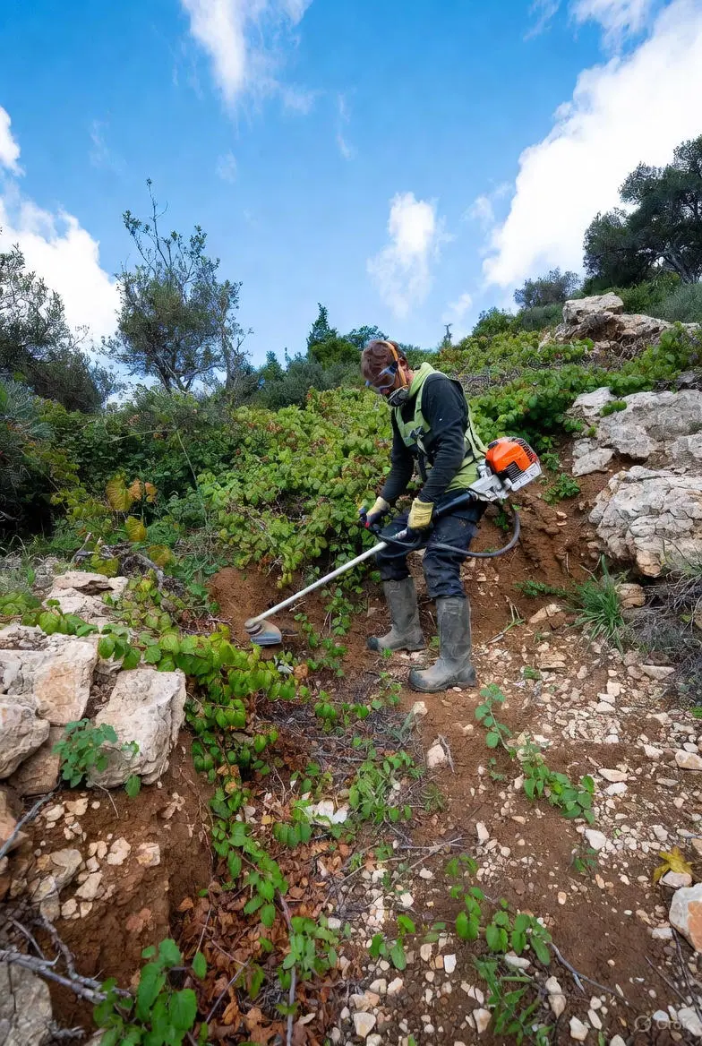 Débroussaillage terrain Grasse Cannes Antibes